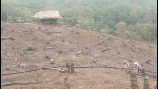 Dideo eaa kuuuu 😍