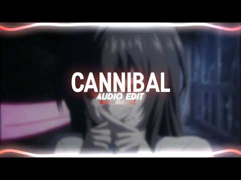 Ke Ha Cannibal Edit Audio