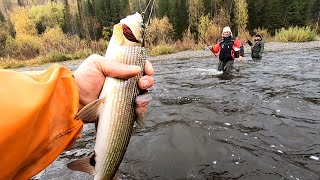 Они как Кабаны..! Ловля Хариуса на Тирольку…! На Краю Земли - 4 День!!!