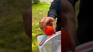 Best Outdoor Game for Families? 🏖️ Djubi Slingball Review