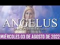 Ángelus de Hoy MIÉRCOLES 03 DE AGOSTO de 2022 ORACIÓN DE MEDIODÍA