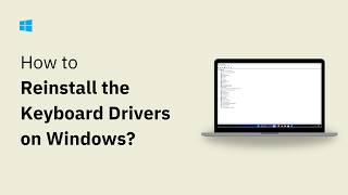 How To Reinstall Keyboard Drivers In Windows 11 & 10