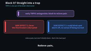 TRPV1: The Capsaicin Receptor and the Hunt for Non-Opioid Pain Relief