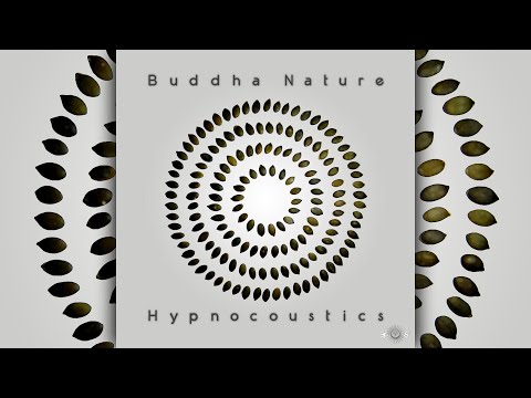 Hypnocoustics — Hypnocoustics - 99 Blake