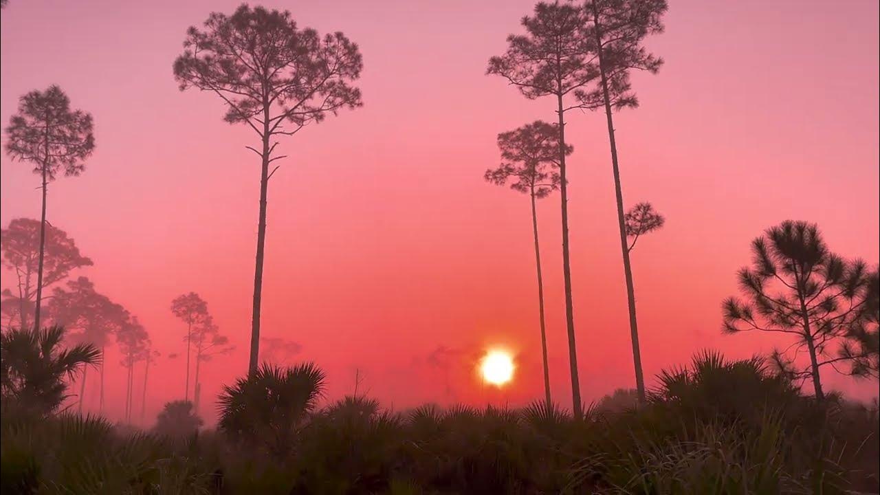 Sunrise in Picayune jeeping in Florida offroading in swfl jeep
