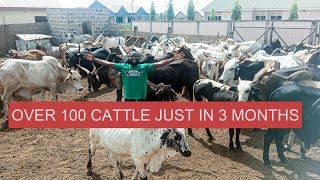 "Seeding Hope: How This Cattle Farmer is Planting Seeds of Opportunity for Youth"