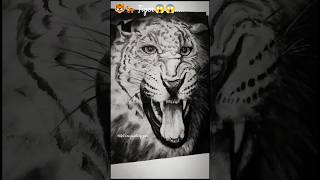 Tiger 🐯 drawing with pencil🫣😱😱😱😱😱....#viral #ytshorts #art #youtube #youtubefeed