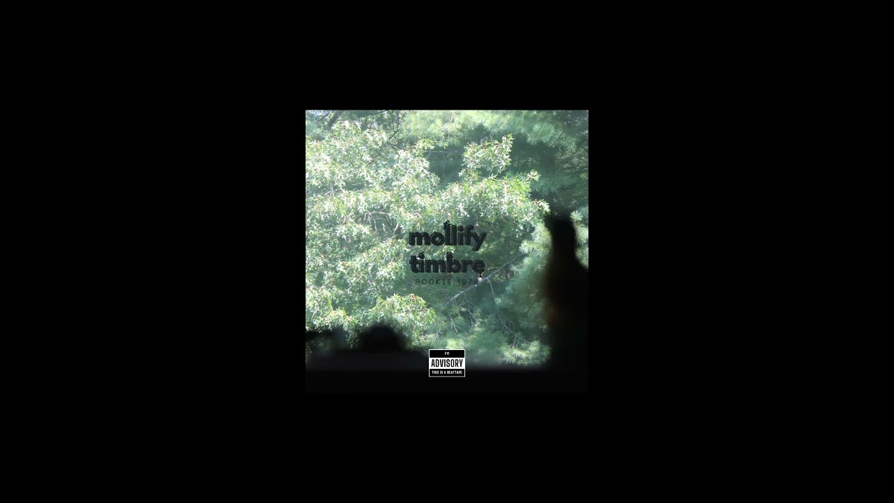 roger - 'mollify timbre' (2024) - Rookie 1978