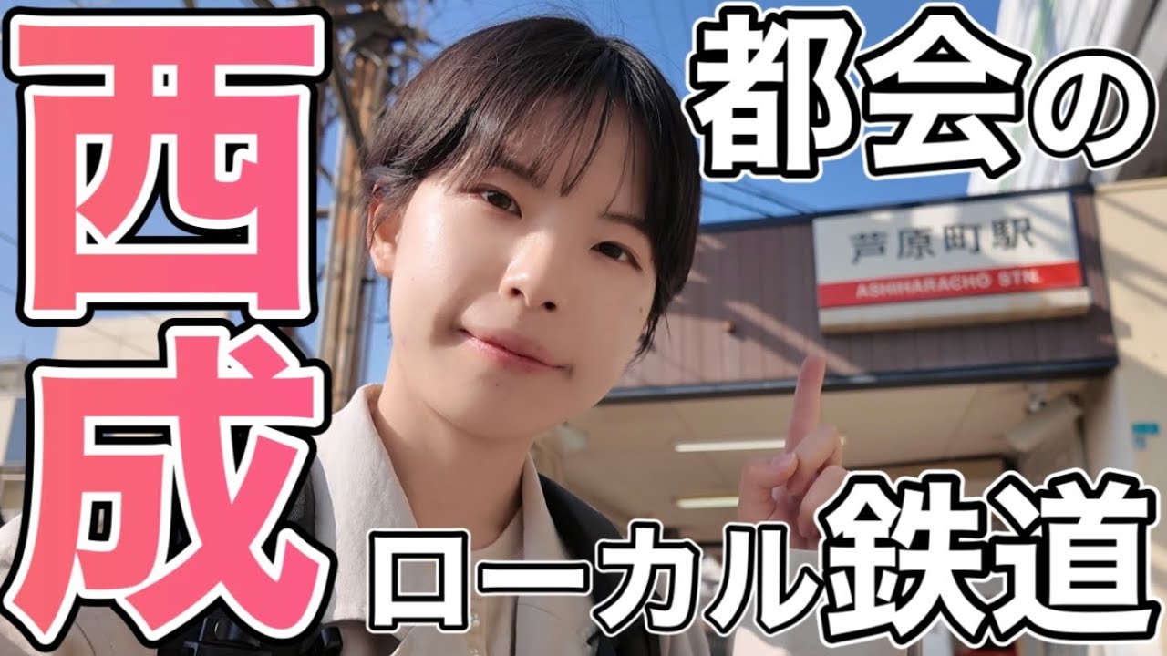 【南海電車】都会のローカル線？！汐見橋線に乗ってきました！