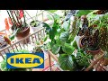 IKEAの家具で植物を飾ろう！植物が好きな人にオススメなIKEAアイテム4つ＋小物をご紹介します