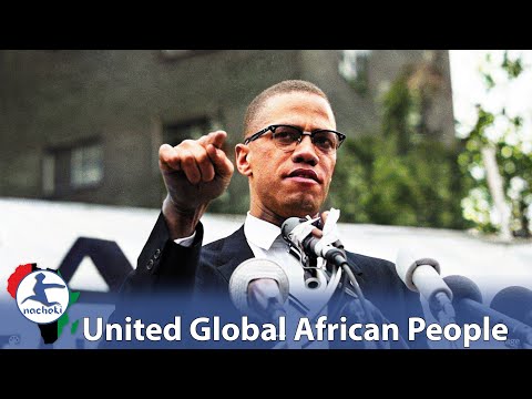 Malcolm X Revolutionary Speech About a Global United African People That got Him Assassinated