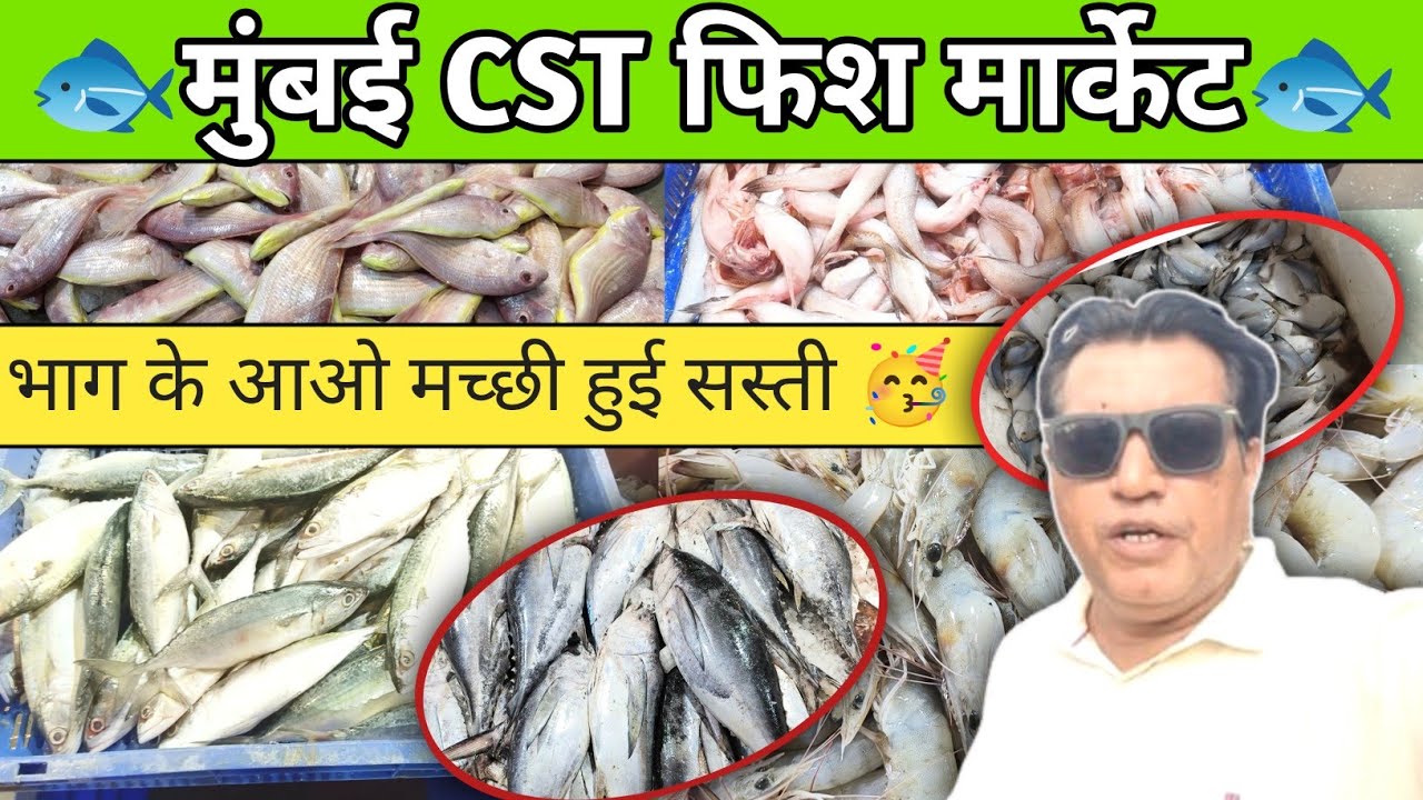 Mumbai Cst Fish Market | 🇮🇳 Cst Fish Market Mumbai| Wholesale Fish Market Mumbai 🇮🇳