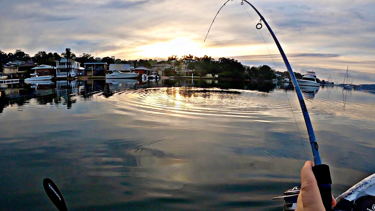 This Fish TOWED me over 100 Metres Lake Macquarie Kayak fishing YouTube