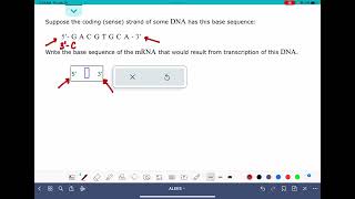 Celebrity ALEKS: Understanding the relationship between DNA and mRNA base sequences Net Worth
