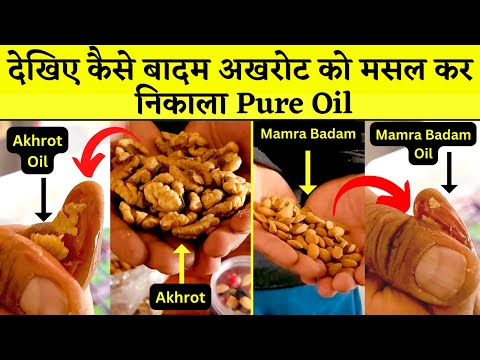 देखिए कैसे Mamra Badam और Akhrot को मसल कर 2 Sec में निकाला Oil | Best Dry Fruit | IBC24 Food