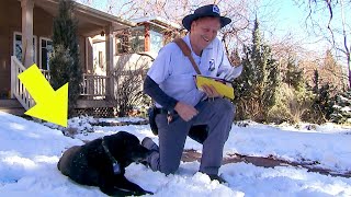 Mailman Notices Something Unusual About This Dog, Then Gets Closer and Discovers This...