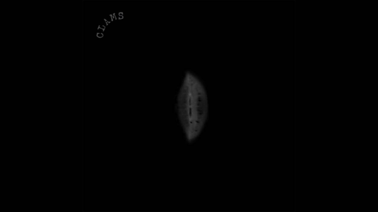 Παρακολούθηση Clams - Spirytus (Official Video) στο YouTube Παρακολούθηση Clams - Spirytus (Official Video) στο YouTube