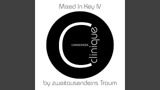 Back to the Roots (Zan Prevee Remix)