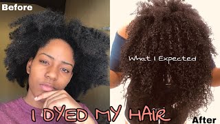 I IMPULSIVELY DYED MY HAIR WITHOUTBLEACH ll DARK AND LOVELY
