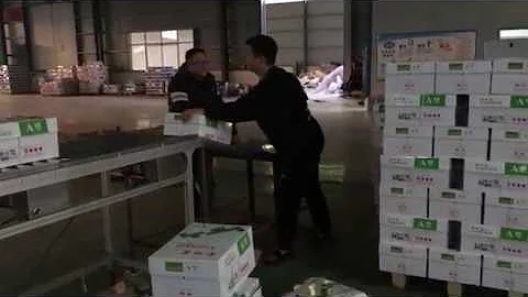 FULLY automatic A4 paper production line, cutting, ream packing,  carton packing