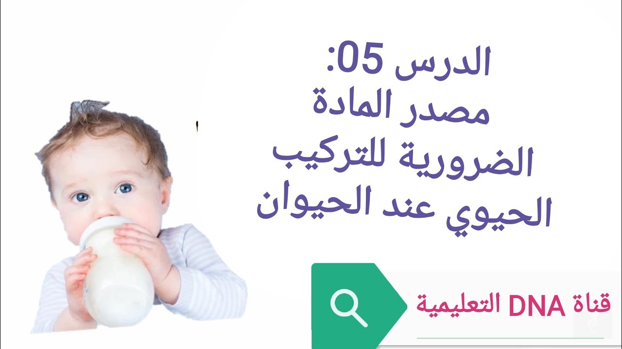 مصدر المادة الضرورية للتركيب الحيوي عند الحيوان
