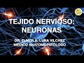 TEJIDO NERVIOSO (NEURONAS) - Dr. Elmer H. Luna Vilchez