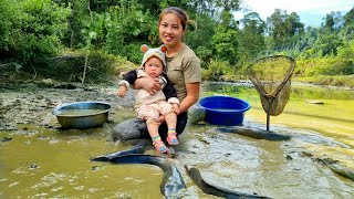 FULL VIDEO 90 Days ; Duong and the baby together picked fruits, eggplants, and fish to sell and cook