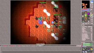 Tibia [7.3] Hunting Necromancers at Drefia