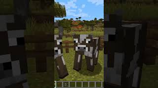vai tomando dos porcos #minecraft #mods #memes #phonk #terror #dias