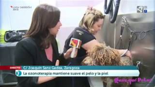 Ozonoterapia para perros en Zaragoza. Guau, Qué Pelos!