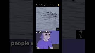 Be the Explanation guy and I'll pin your comment👀