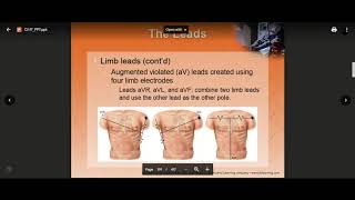EMT01 ECG Basics