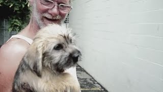 Local non-profit helps homeless provide help for their pets