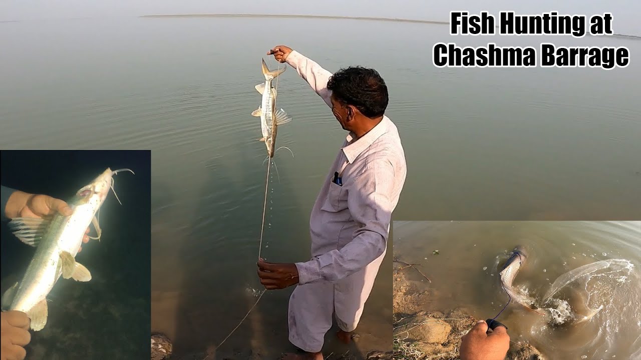 Chashma Barrage Mianwali - Fish Hunting Near Power house - Kundian Jheel