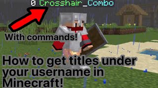 How to get Titles under your username in Minecraft with commands!