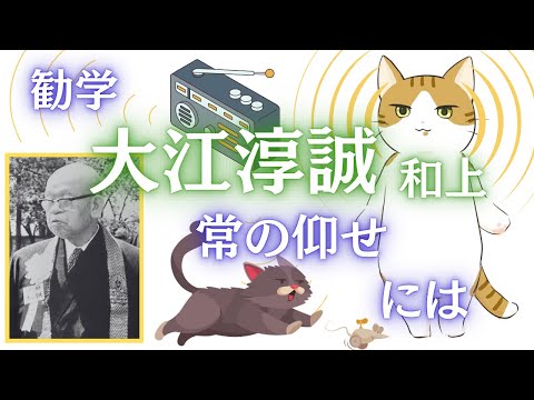 にゃん法話12「逃げようとも衰えようとも」摂取不捨のおはたらき｜桐渓