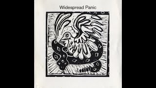 Widespread Panic - The Last Straw  432Hz  HD  (lyrics in description)