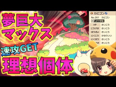 キョダイマックスするカビゴン 夢理想個体ソッコーget ライブ ポケモン 剣盾 Pokemon Youtube