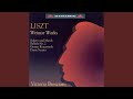 Miniature de la vidéo de la chanson Großes Konzertsolo, S. 176: Allegro Agitato Assai - Più Moderato - Più Mosso - Stretta