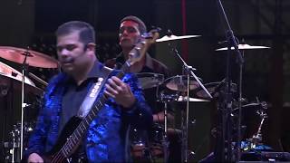 Raul Hernandez El Tigre Solitario -PASO A PASO-