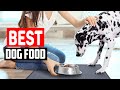 Top 5 Best Dog Food Mat For Messy Eaters in 2023