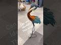 Beautiful OVERSIZED LARGE BIRD LAWN GARDEN DECOR DECORATION CAN YOU IDENTIFY? #gardenart #rossfinds