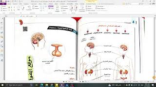 الحصة 16   الوحدة الرابعة   التنظيم الهرموني في الإنسان   الدرس الأخييييير