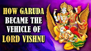 How Garuda Became The Vehicle Of Lord Vishnu | Story of Vishnu and Garuda | Rajshri Soul