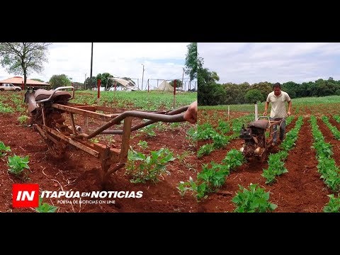 Video: Arado Aplanado