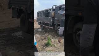 Stuck in the Mud! Heavy Cargo Truck Rescue in Brutal Off-Road Terrain