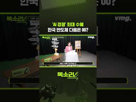 'AI 경쟁' 최대 수혜 한국 반도체 다음은 00? / 똑소리E / 비디오머그 #shorts
