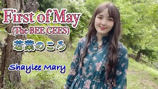 First of May(The BEE GEES)若葉のころ(ビージーズ)歌詞・和訳付 Cover by Shaylee Mary