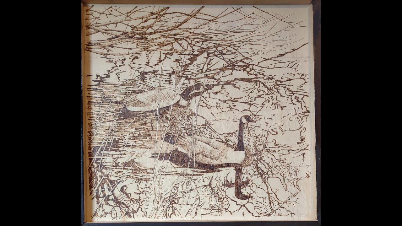 Human impacts on the environment, grid transfer method woodburning ...