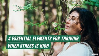 4 Essential Elements For Thriving When Stress Is High